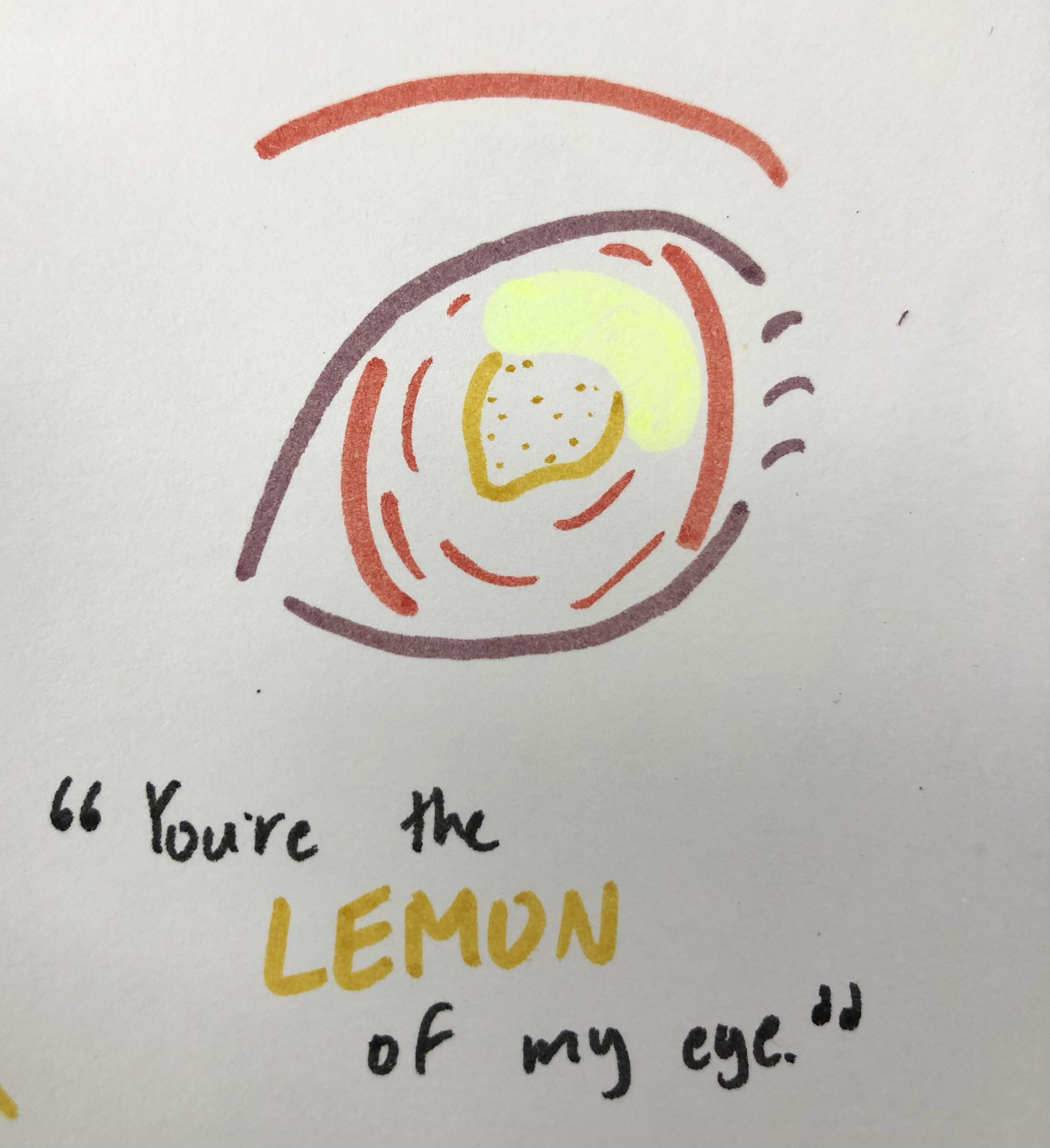 a marker sketch of a orange eye with a lemon in the center and a quote below 'You're the LEMON of my eye.'