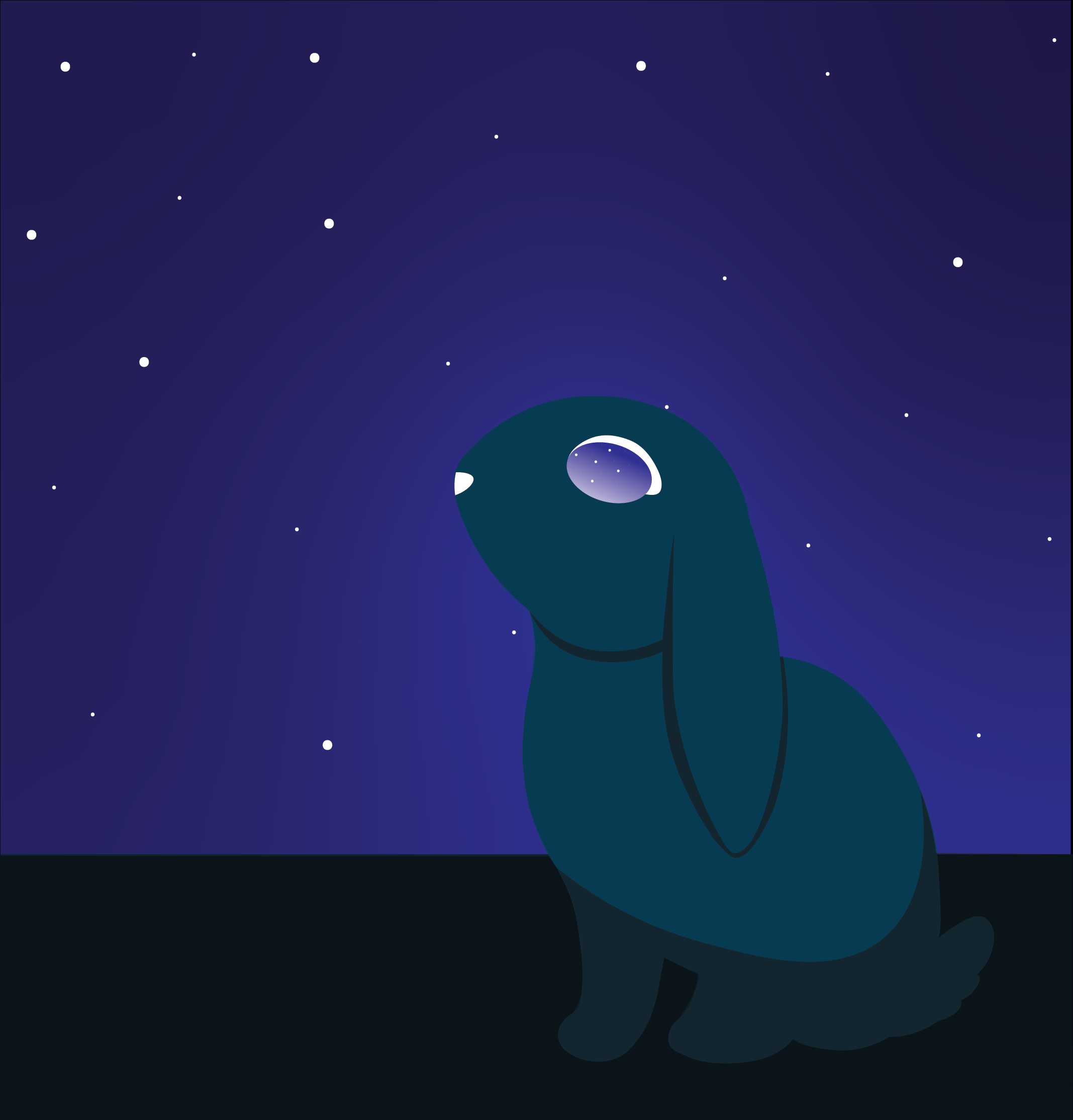 a dark blue bunny stares at the starry night sky with the stars reflecting back in it's eyes