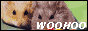 A picture of two hamsters next to each other with text that says woohoo